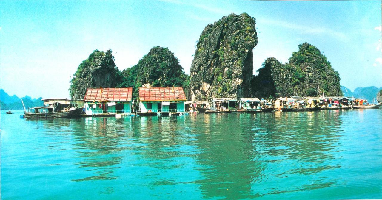 Zo Brother Ha Long Hostel Exteriör bild